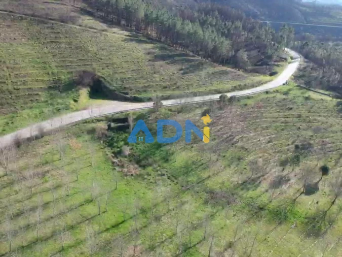 Quinta T2 para Venda em Paul Foto 78