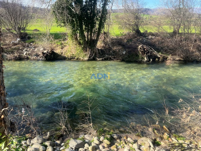 Quinta T2 para Venda em Paul Foto 57