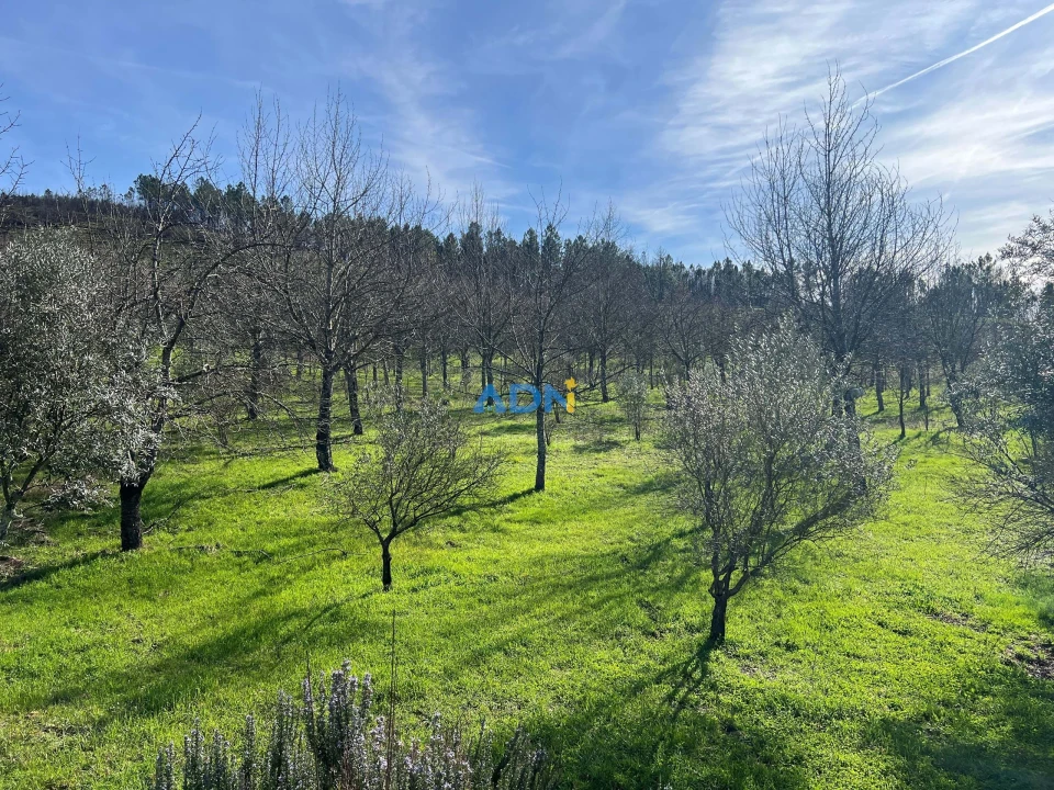 Quinta T2 para Venda em Paul Foto 61