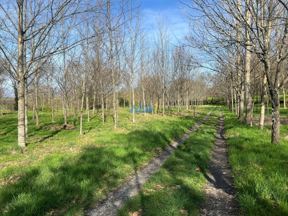 Quinta T2 para Venda em Paul Foto 40