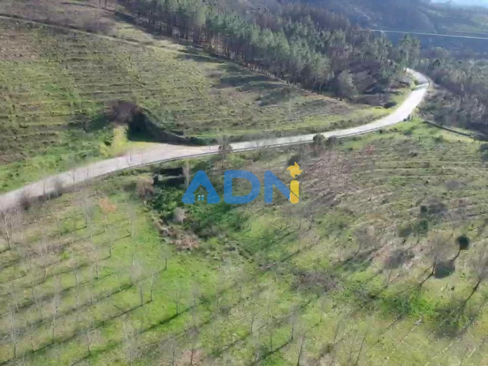 Quinta T2 para Venda em Paul Foto 78