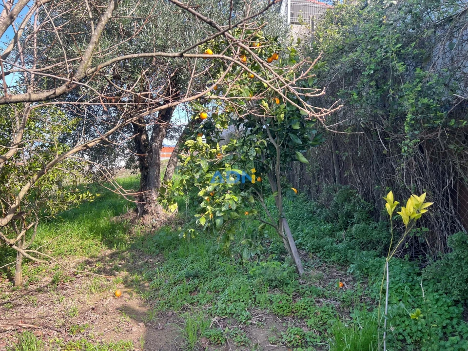 Terreno para Venda em Fundão, Valverde, Donas, A. Joanes, A. Nova Cabo Foto 15