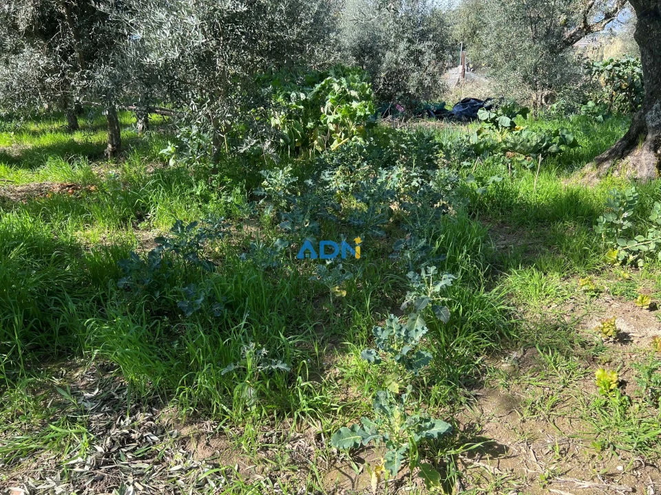 Terreno para Venda em Fundão, Valverde, Donas, A. Joanes, A. Nova Cabo Foto 20