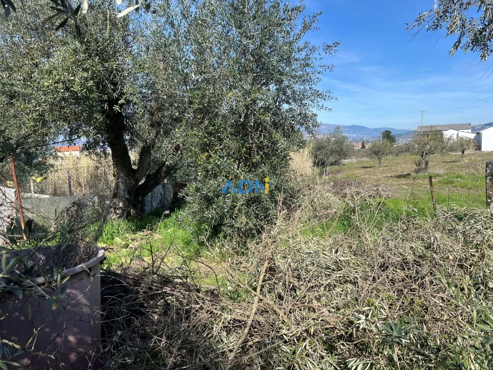 Terreno para Venda em Fundão, Valverde, Donas, A. Joanes, A. Nova Cabo Foto 24