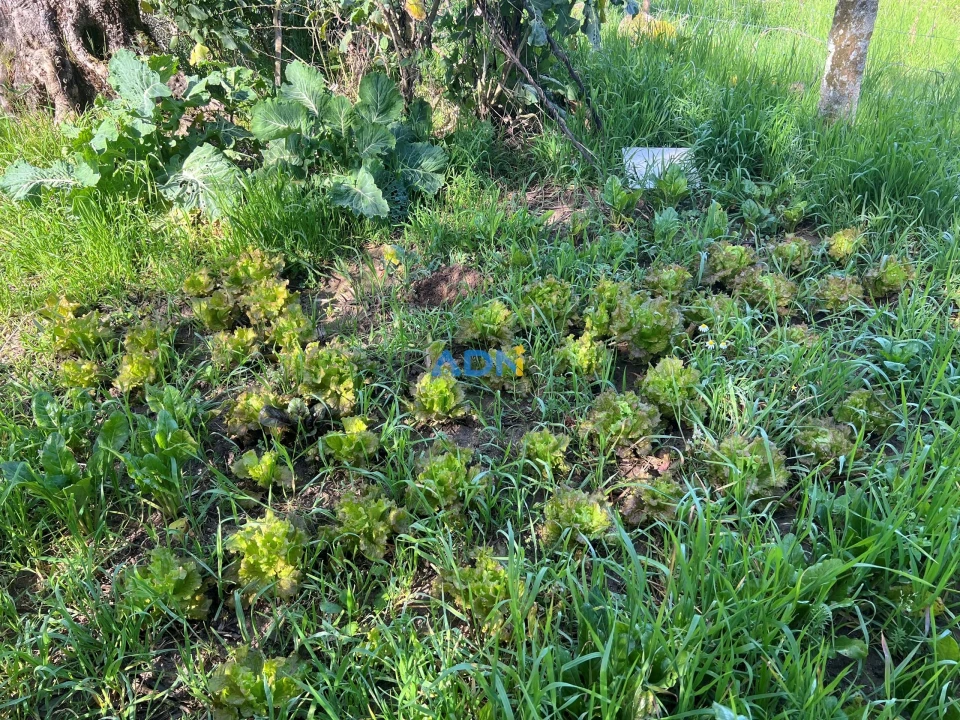 Terreno para Venda em Fundão, Valverde, Donas, A. Joanes, A. Nova Cabo Foto 22