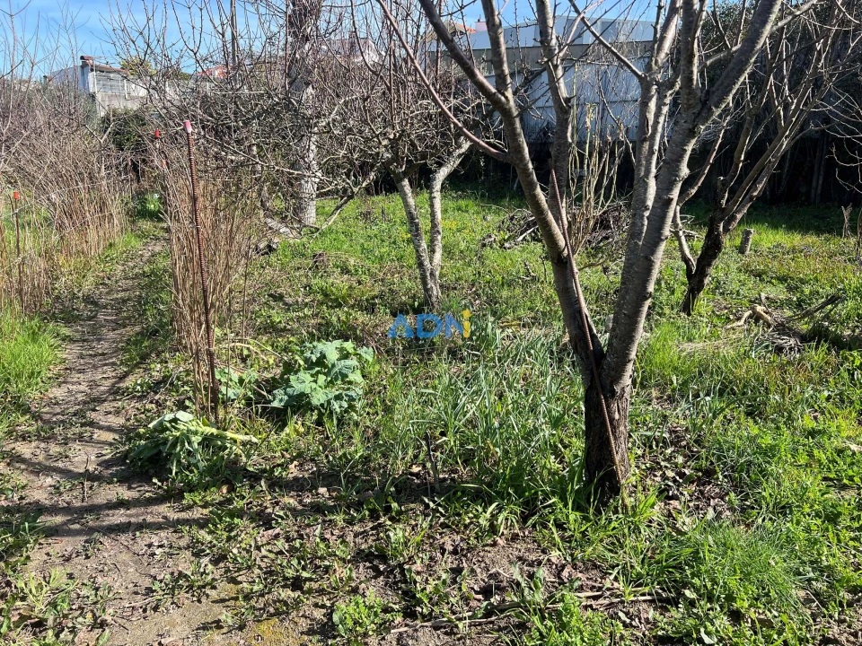 Terreno para Venda em Fundão, Valverde, Donas, A. Joanes, A. Nova Cabo Foto 9