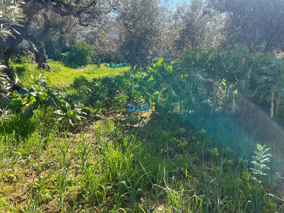 Terreno para Venda em Fundão, Valverde, Donas, A. Joanes, A. Nova Cabo Foto 23