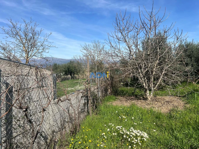 Terreno para Venda em Fundão, Valverde, Donas, A. Joanes, A. Nova Cabo Foto 29