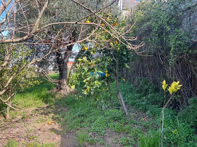 Terreno para Venda em Fundão, Valverde, Donas, A. Joanes, A. Nova Cabo Foto 15