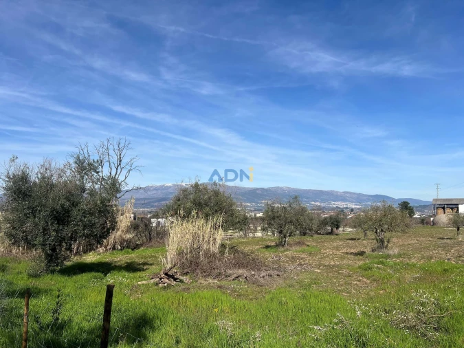 Terreno para Venda em Fundão, Valverde, Donas, A. Joanes, A. Nova Cabo Foto 26