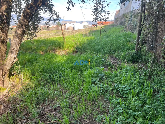 Terreno para Venda em Fundão, Valverde, Donas, A. Joanes, A. Nova Cabo Foto 16