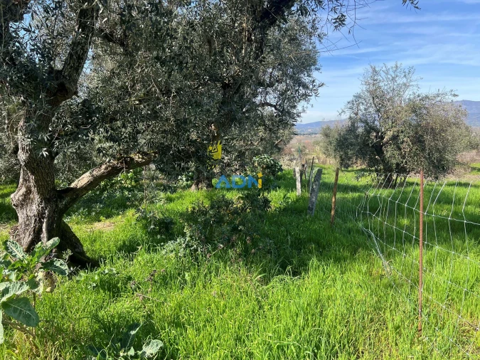 Terreno para Venda em Fundão, Valverde, Donas, A. Joanes, A. Nova Cabo Foto 17