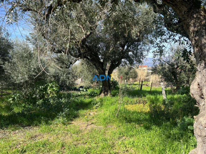 Terreno para Venda em Fundão, Valverde, Donas, A. Joanes, A. Nova Cabo Foto 18