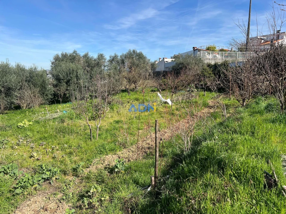 Terreno para Venda em Fundão, Valverde, Donas, A. Joanes, A. Nova Cabo Foto 11