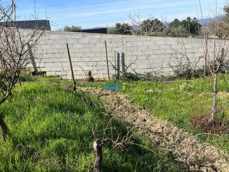 Terreno para Venda em Fundão, Valverde, Donas, A. Joanes, A. Nova Cabo Foto 10