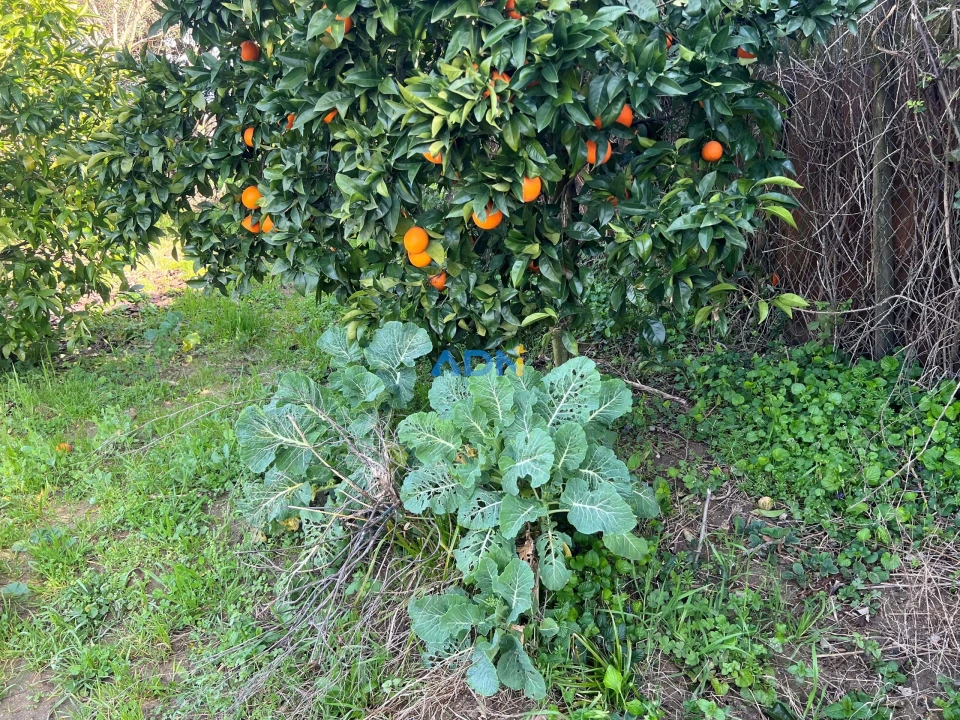 Terreno para Venda em Fundão, Valverde, Donas, A. Joanes, A. Nova Cabo Foto 14