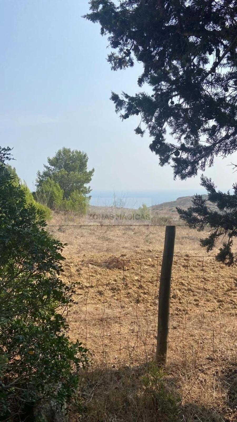 Terreno para Venda em Budens Foto 6