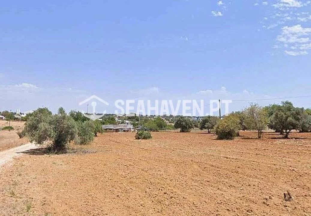 Terreno Agricola ou Rústico para Venda em Albufeira e Olhos de Água Foto 5