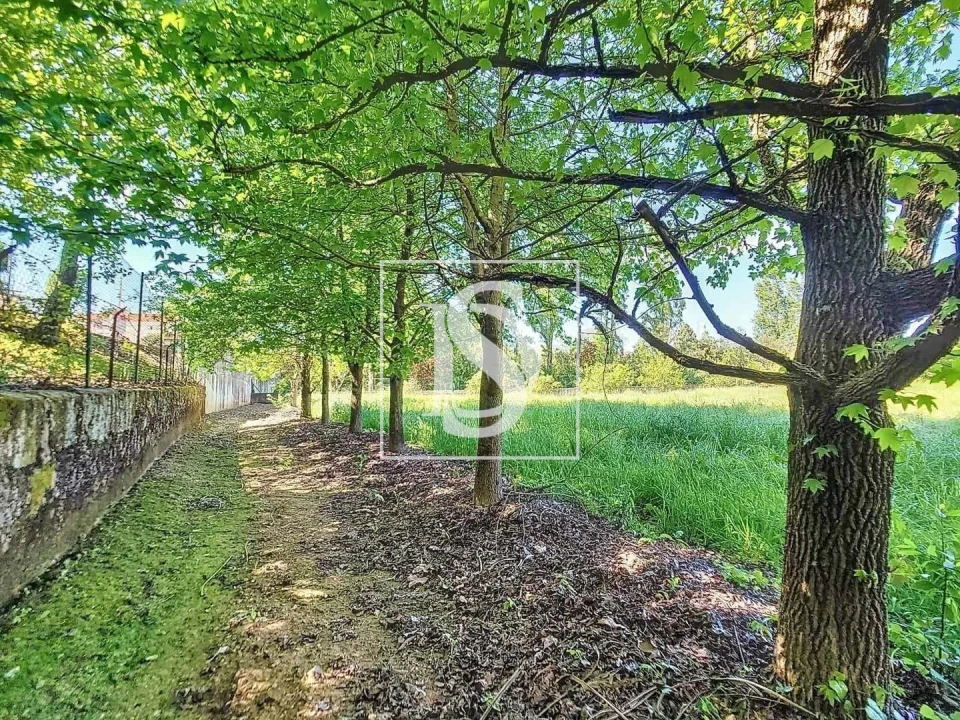 Quinta T3 para Venda em Ermesinde Foto 42