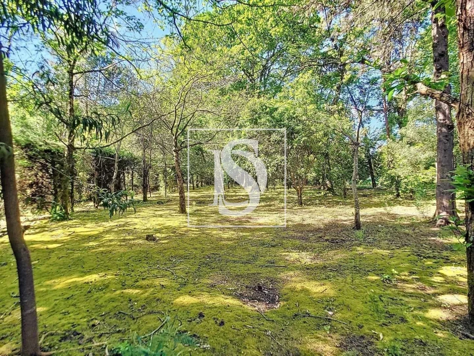 Quinta T3 para Venda em Ermesinde Foto 38