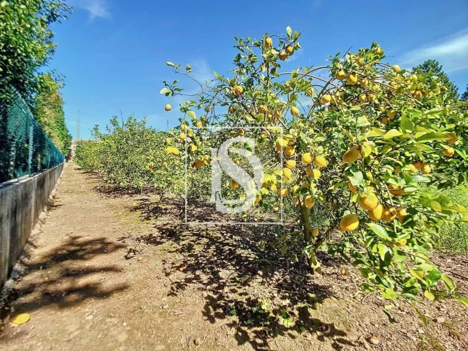 Quinta T3 para Venda em Ermesinde Foto 46