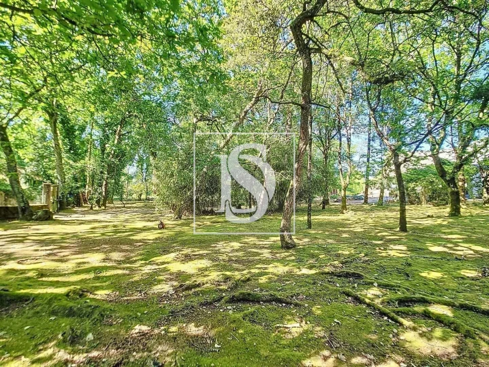 Quinta T3 para Venda em Ermesinde Foto 41