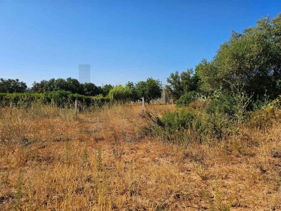 Terreno para Venda em Loule (São Clemente) Foto 9