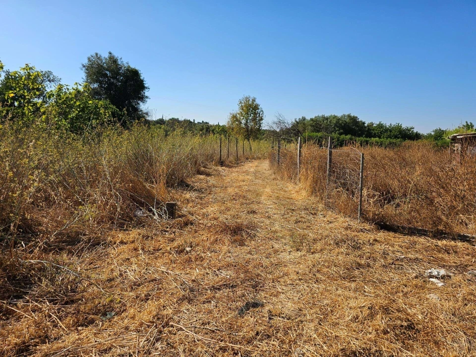 Terreno para Venda em Loule (São Clemente) Foto 3