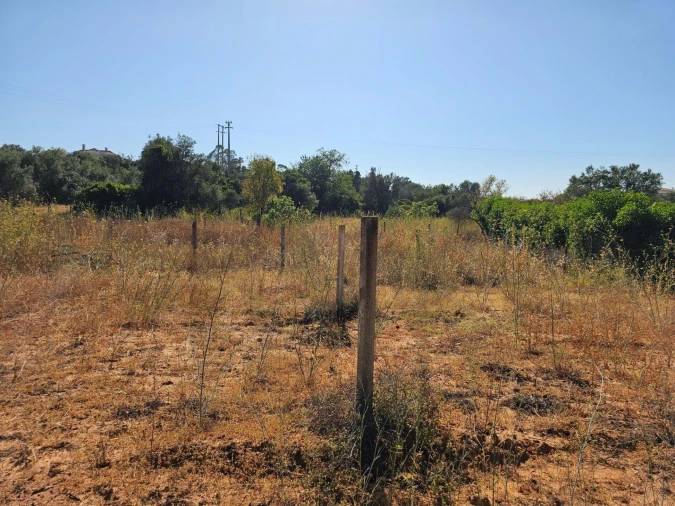 Terreno para Venda em Loule (São Clemente) Foto 14