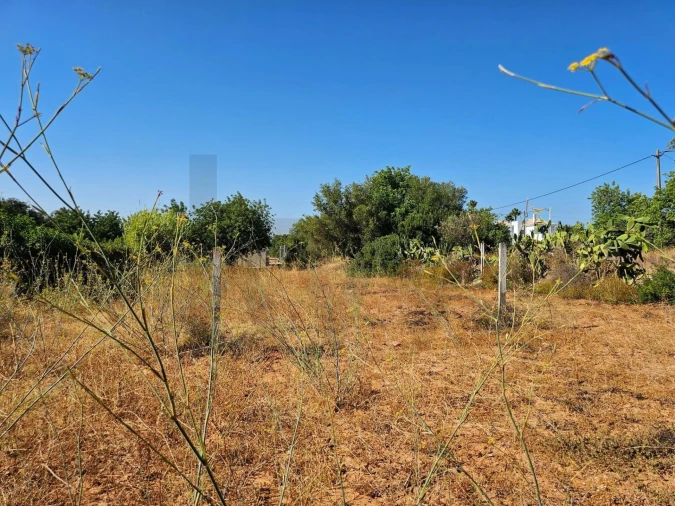 Terreno para Venda em Loule (São Clemente) Foto 11