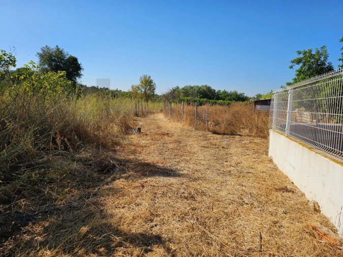 Terreno para Venda em Loule (São Clemente) Foto 2