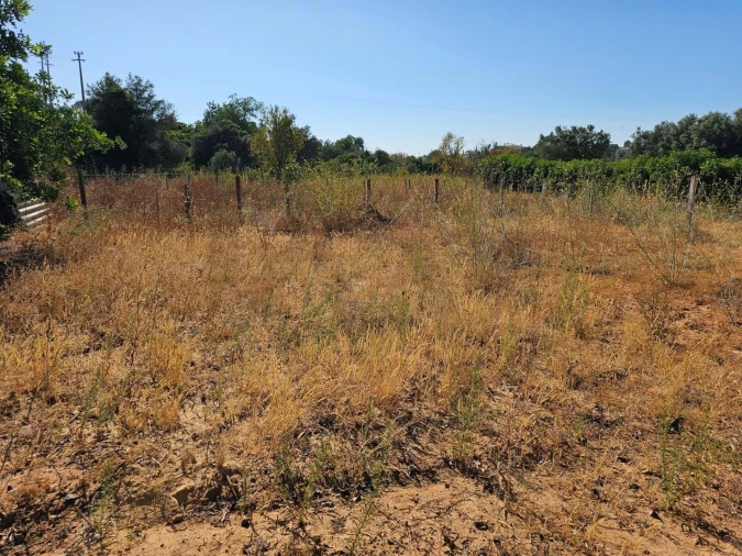 Terreno para Venda em Loule (São Clemente) Foto 8