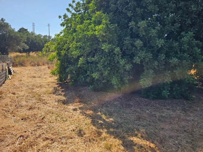 Terreno para Venda em Loule (São Clemente) Foto 6