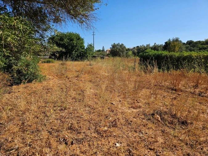 Terreno para Venda em Loule (São Clemente) Foto 19