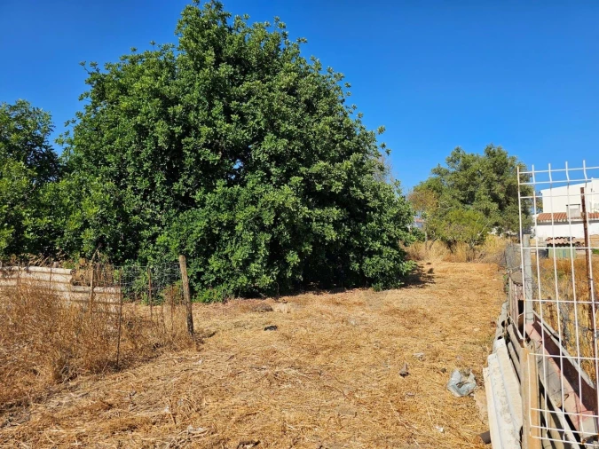 Terreno para Venda em Loule (São Clemente) Foto 4