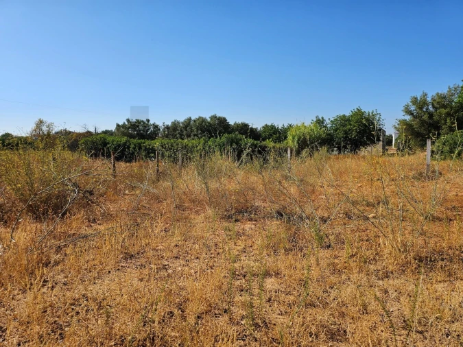 Terreno para Venda em Loule (São Clemente) Foto 10