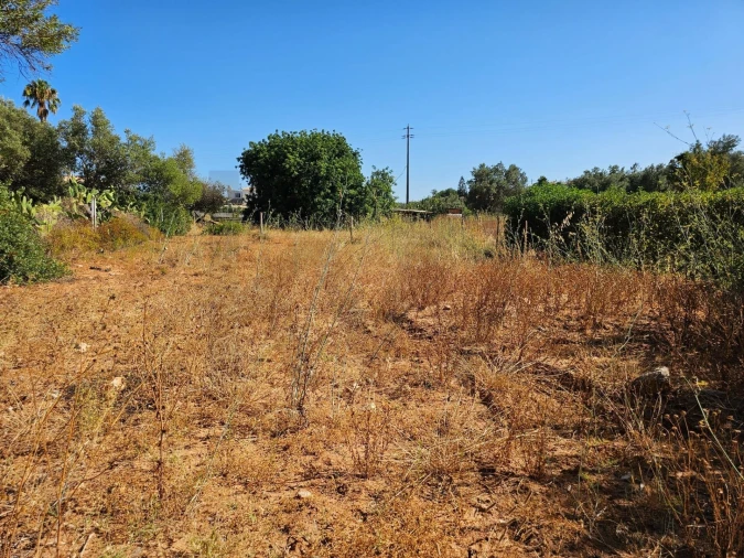 Terreno para Venda em Loule (São Clemente) Foto 18