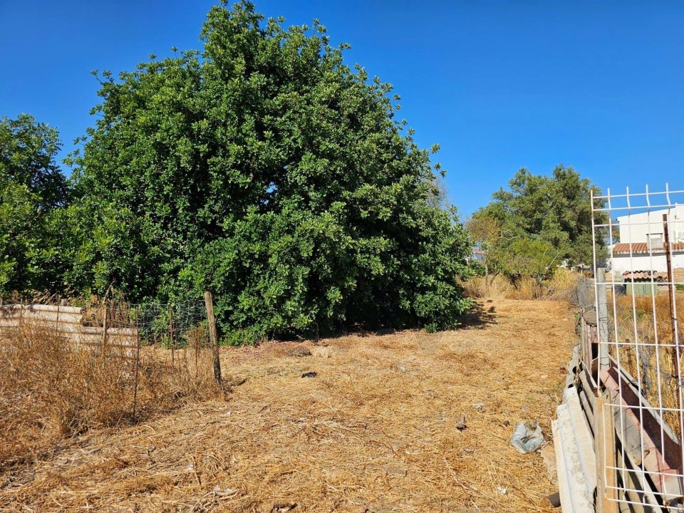 Terreno para Venda em Loule (São Clemente) Foto 4