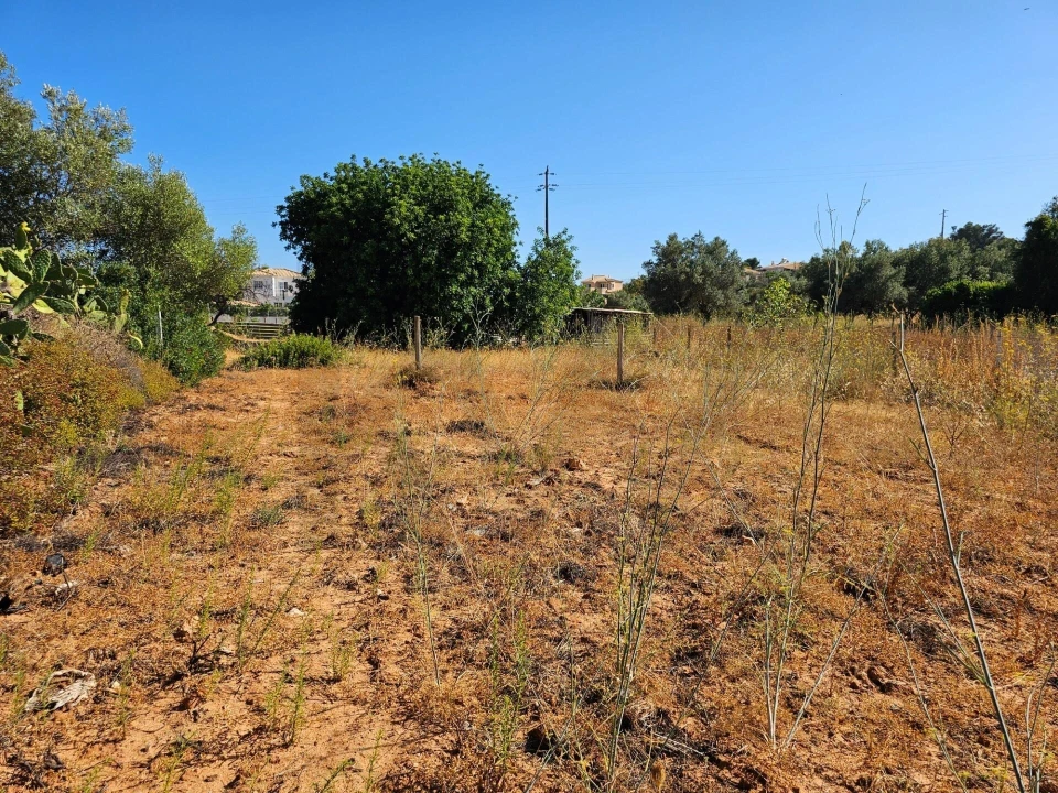Terreno para Venda em Loule (São Clemente) Foto 20
