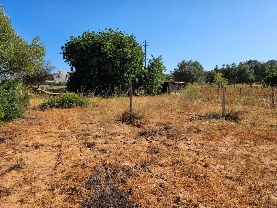 Terreno para Venda em Loule (São Clemente) Foto 20
