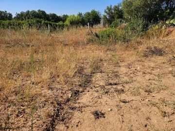 Terreno para Venda em Loule (São Clemente)