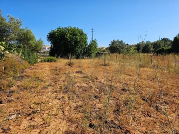 Terreno para Venda em Loule (São Clemente)