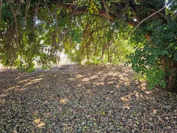Terreno para Venda em Loule (São Clemente)