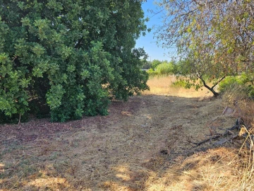 Terreno para Venda em Loule (São Clemente)