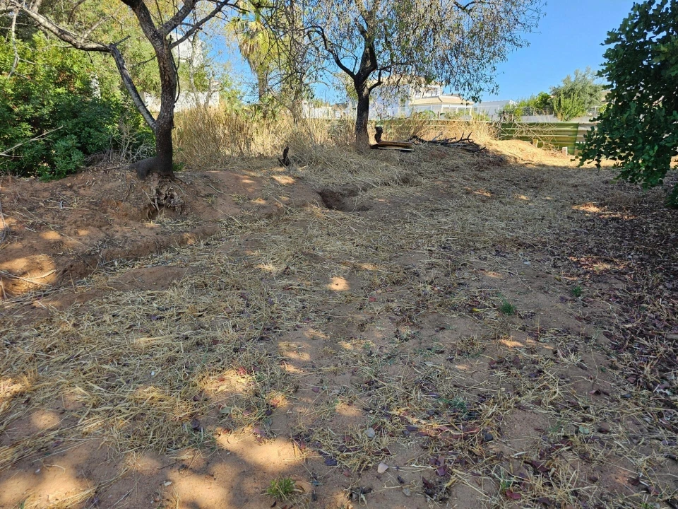 Terreno para Venda em Loule (São Clemente) Foto 22