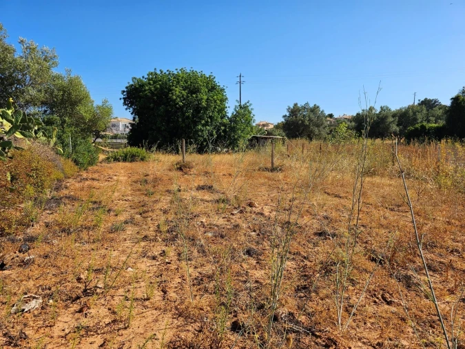 Terreno para Venda em Loule (São Clemente) Foto 19
