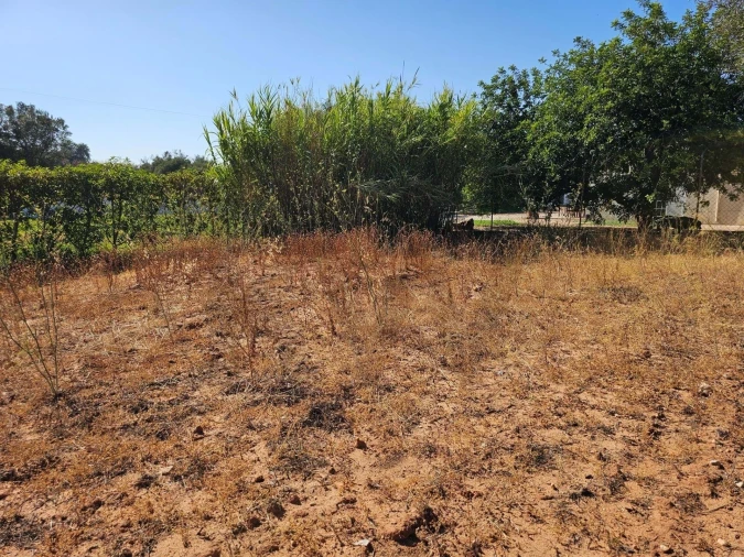 Terreno para Venda em Loule (São Clemente) Foto 15