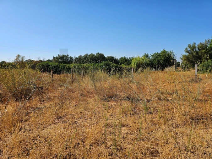 Terreno para Venda em Loule (São Clemente) Foto 9