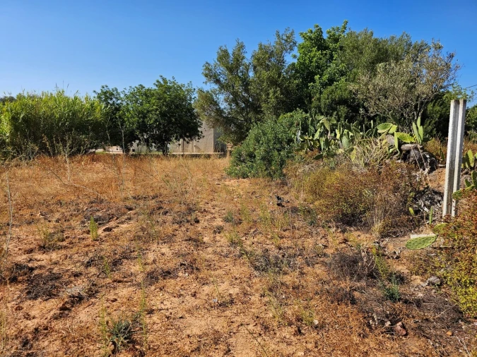 Terreno para Venda em Loule (São Clemente) Foto 14