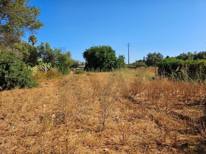 Terreno para Venda em Loule (São Clemente) Foto 16